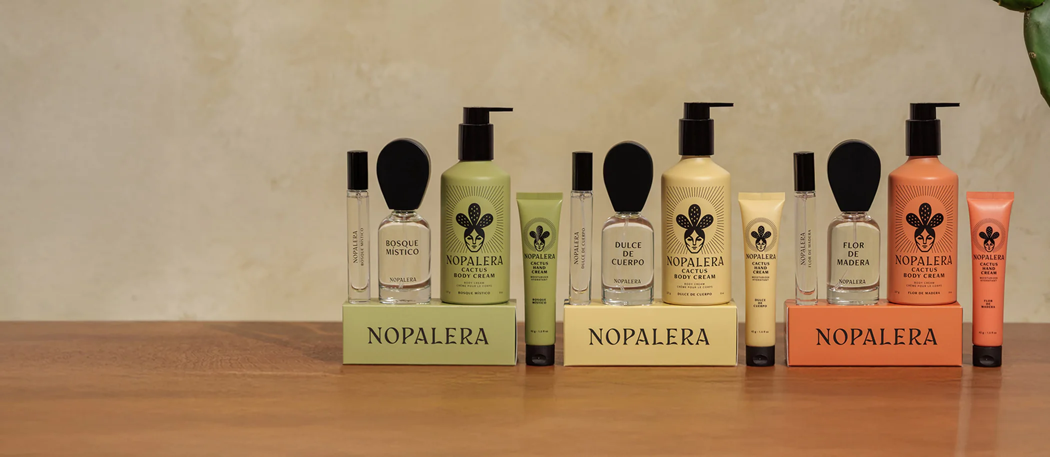 Cactus-Powered Beauty for Modern Explorers